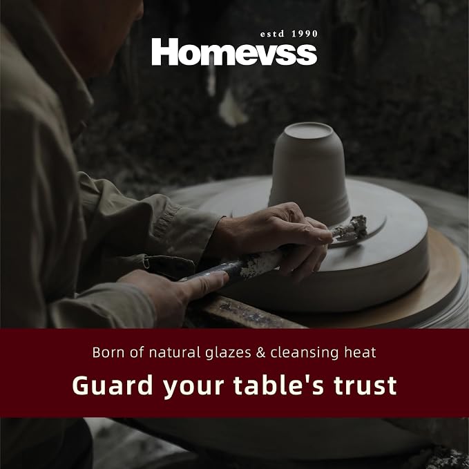HomeVSS 20-Piece Dinnerware Set