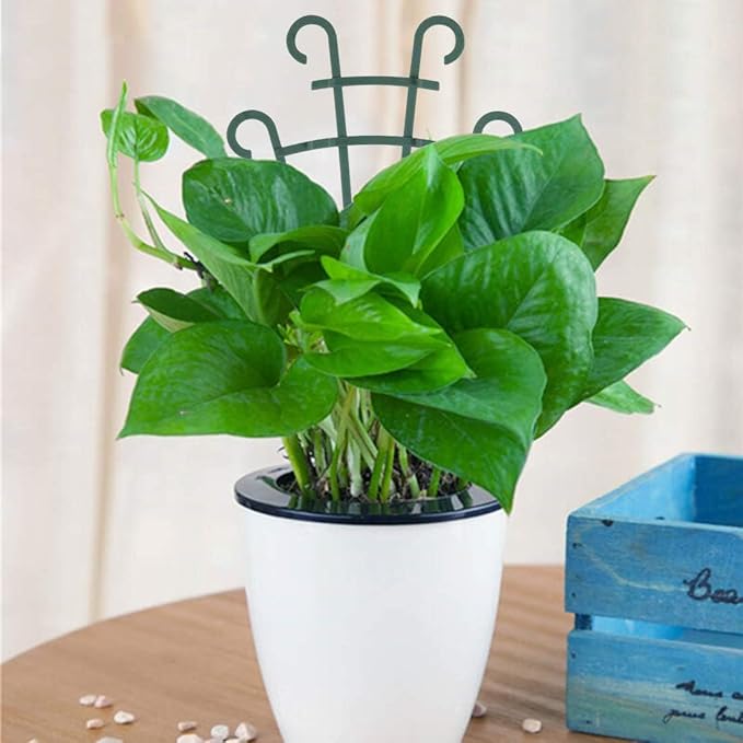 Trellis for Potted Plants, Stackable Small Indoor Plant Trellis for Climbing