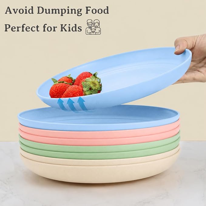 11 Inch Dinner Plates Set of 8