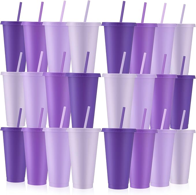 Skylety 24 Pcs Purple Plastic Cups