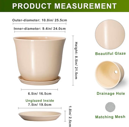 Ceramic Planter