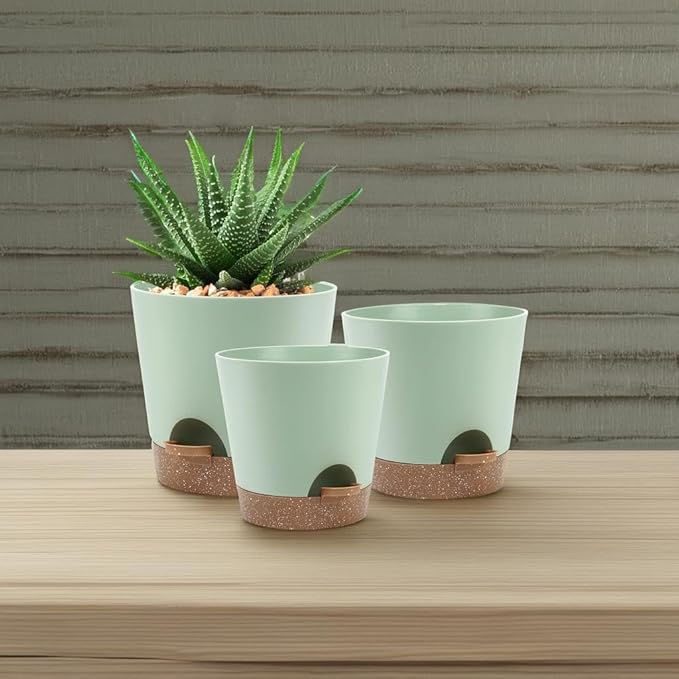 Indoor Self Watering Planters