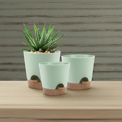 Indoor Self Watering Planters