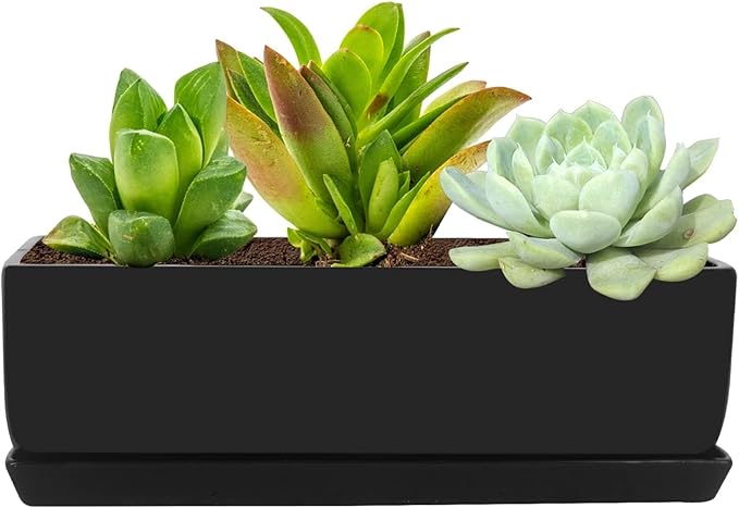 Vencer 14 Inch Rectangular Modern Minimalist Ceramic Succulent Planter Pot