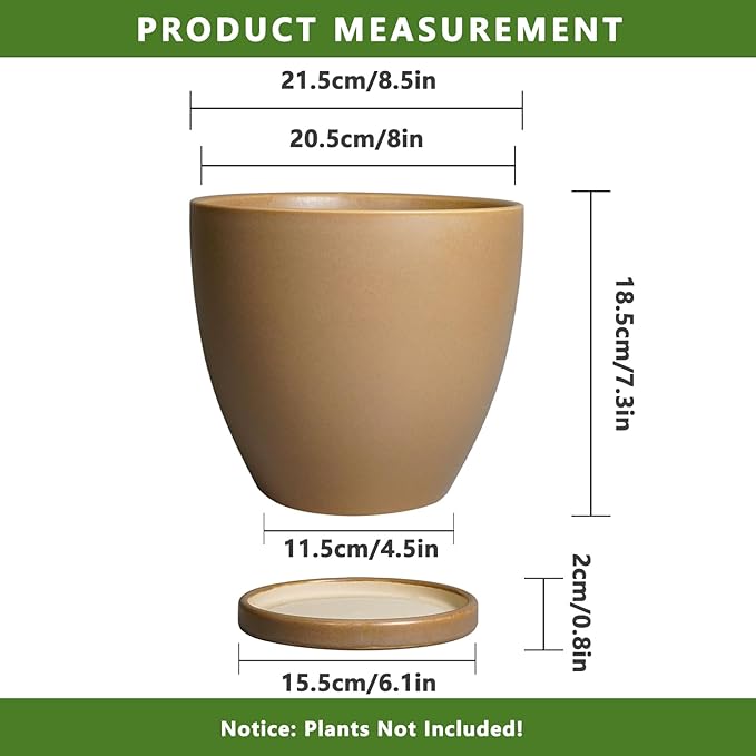 Ceramic Pots for Plants