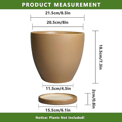Ceramic Pots for Plants
