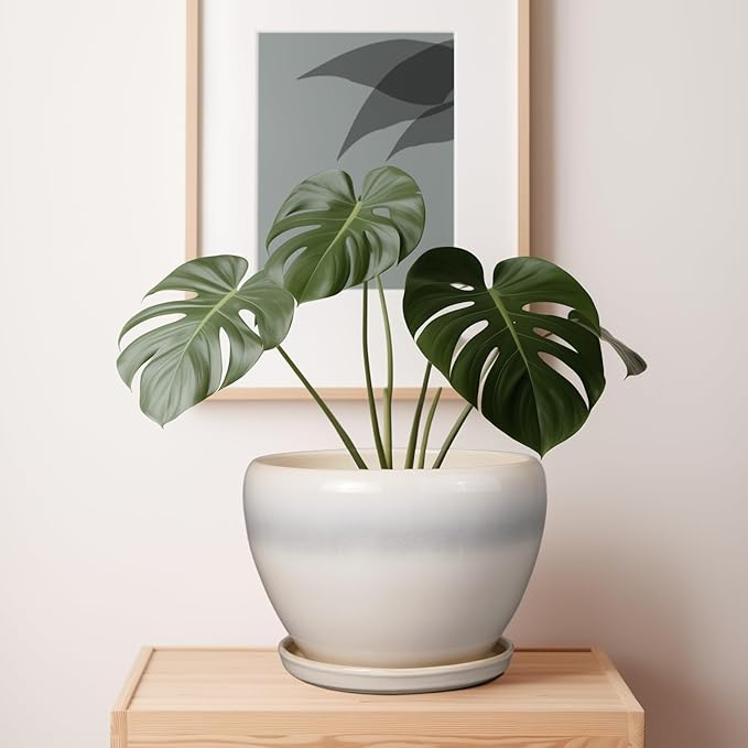 10 Inch Ceramic Planter Pot