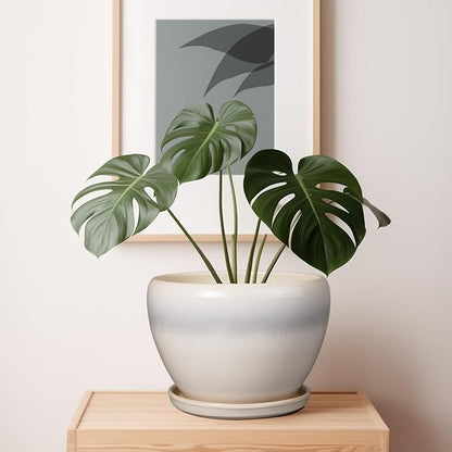 10 Inch Ceramic Planter Pot