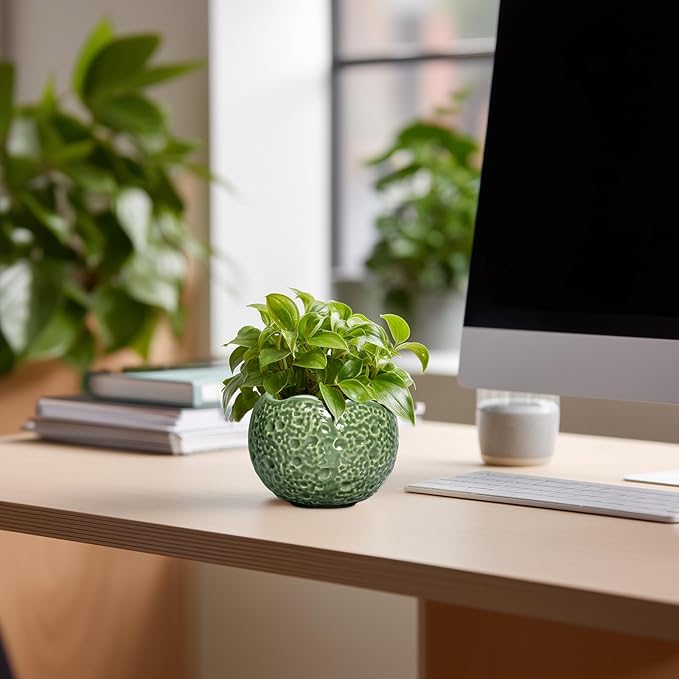 Ceramic Plant Pots