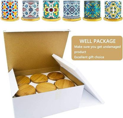 6 Pack Mandala Succulent Plant Pot