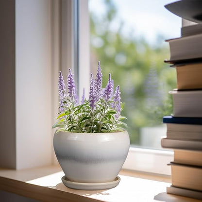 Planter Pot 6 Inch