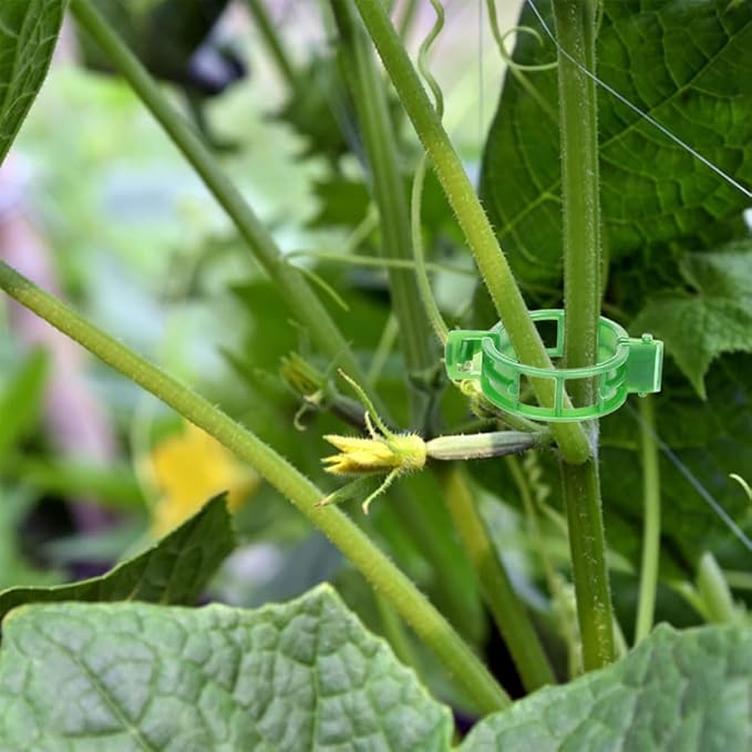 Plant Support Clips, Plastic Trellis Clips, Grape Vine Tomato Vine Vegetables