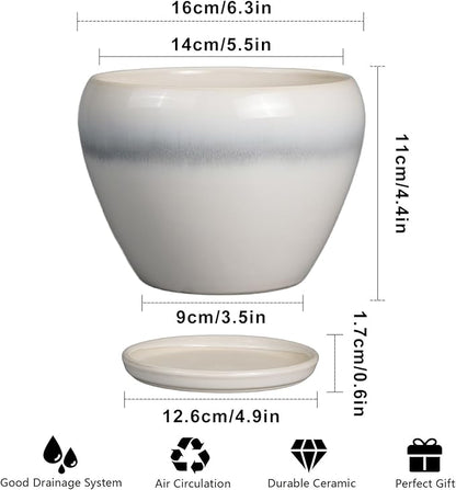 Planter Pot 6 Inch