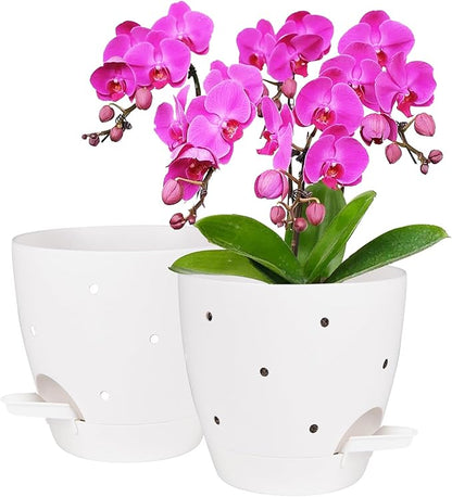 6 Inch Orchid Pots with Holes, 2 Pack Self Watering Planters