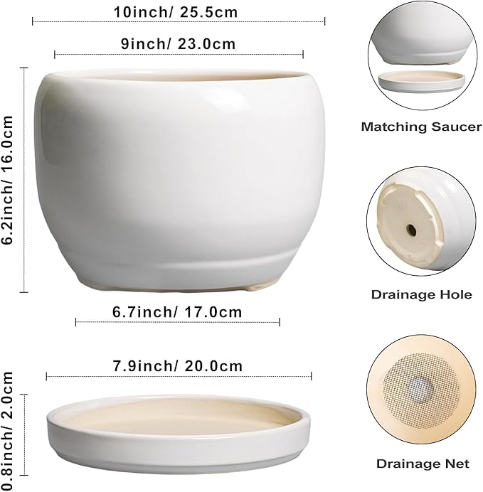 SQOWL Ceramic Pot for Plants