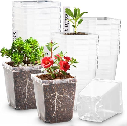 3.3 Inch Clear Nursery Pots