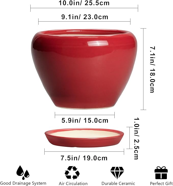 10 Inch Plant Pot