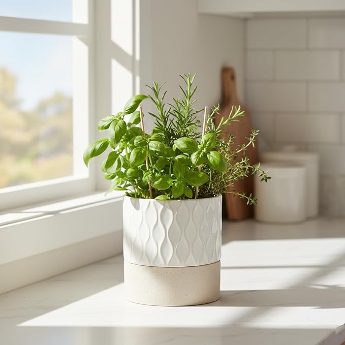 Nihow Self Watering Plant Pot: 4.5 Inch Ceramic Planter