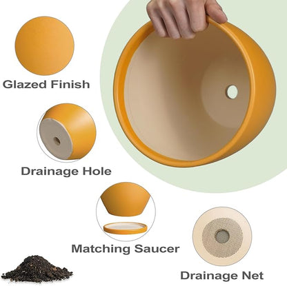 10 Inch Plant Pot
