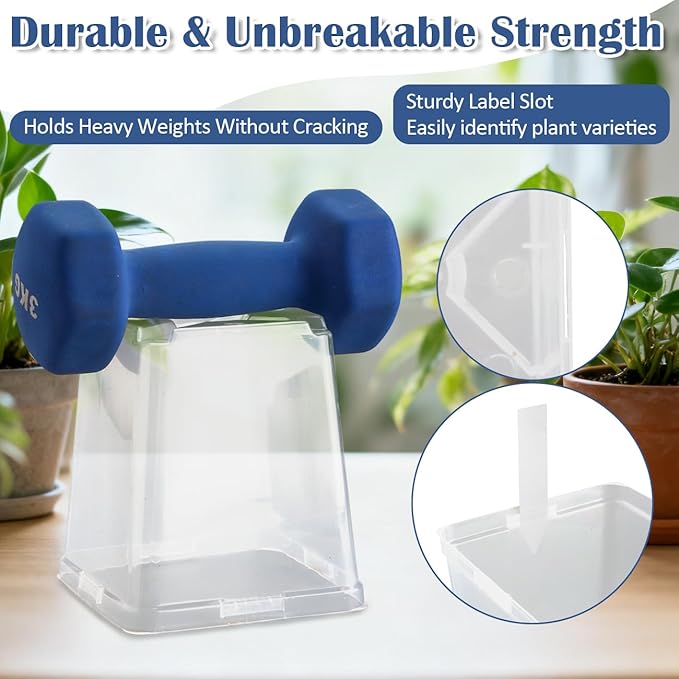 5.5 Inch Clear Square Nursery Pots