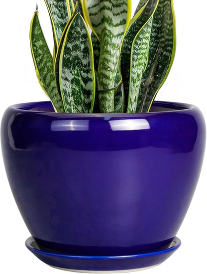 Ceramic Plant Pot 8 Inch