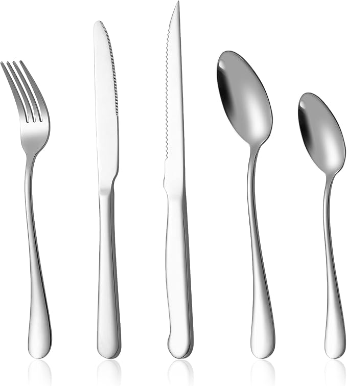 Eisinly 20-Piece Silverware Set