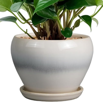 Planter Pot 6 Inch
