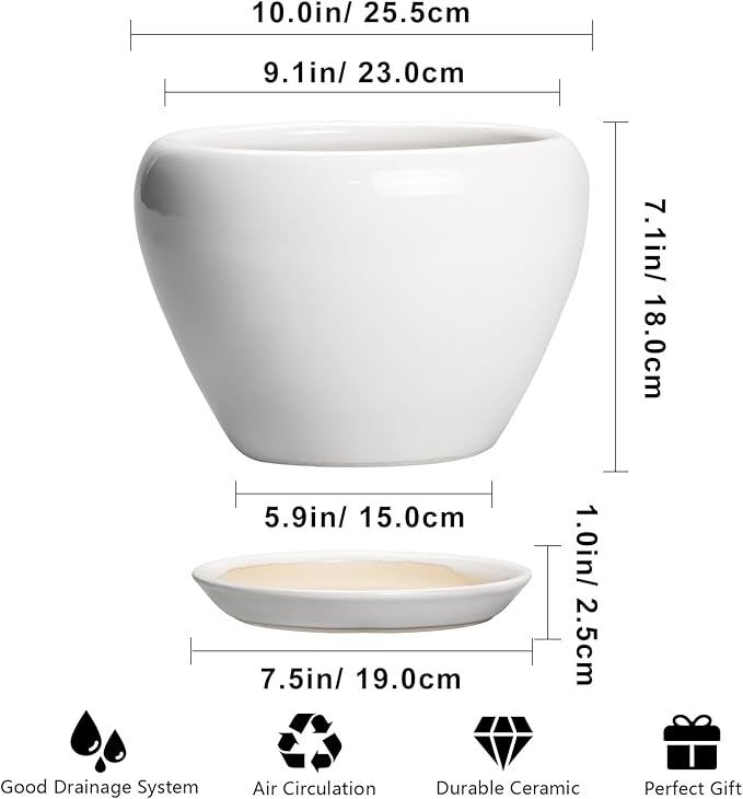 Ceramic Pot for Plants