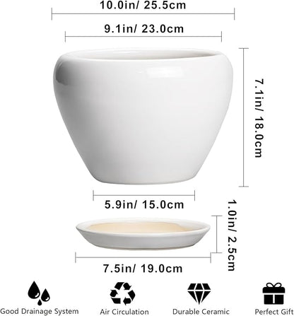 Ceramic Pot for Plants