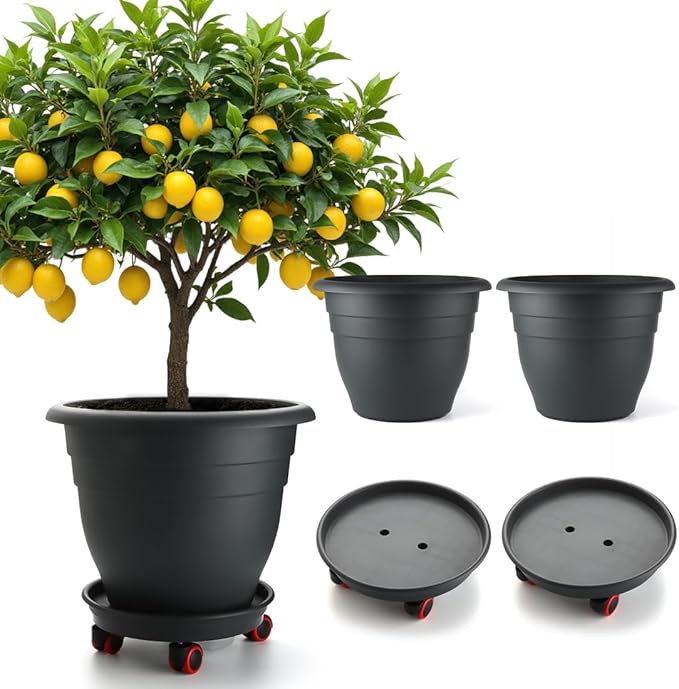 3-Pack Jumbo 15.7 Inch Planters