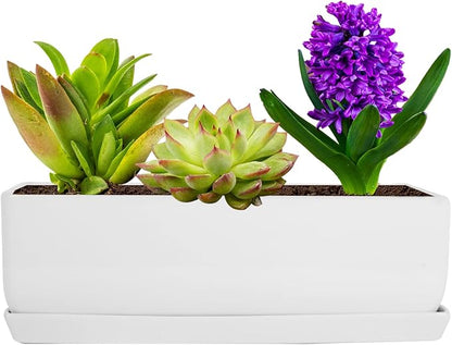 Vencer 14 Inch Rectangular Modern Minimalist Ceramic Succulent Planter Pot