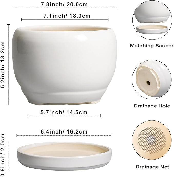 SQOWL Ceramic Planters for Indoor Plants
