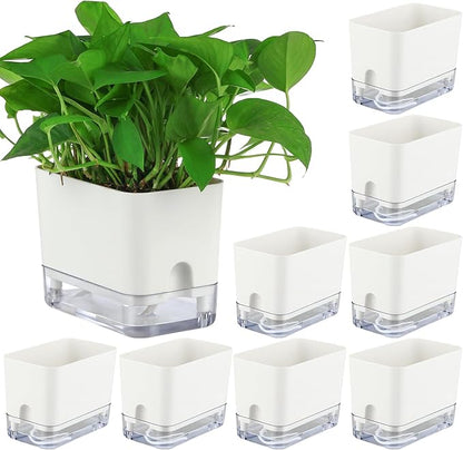 Planterhoma Self Watering Plant Pots