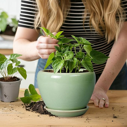 6 Inch Plant Pot