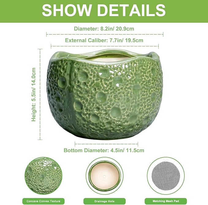 8 Inch Plant Pot