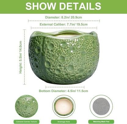 8 Inch Plant Pot