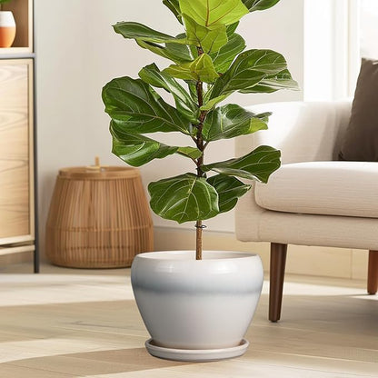Ceramic Planter