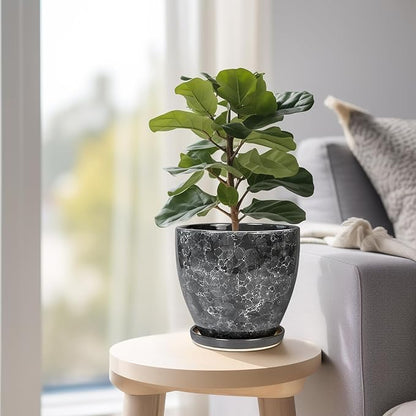 6.3 Inch Plant Pot