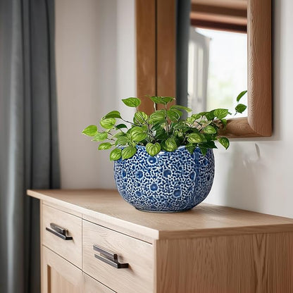 Ceramic Pots for Plants