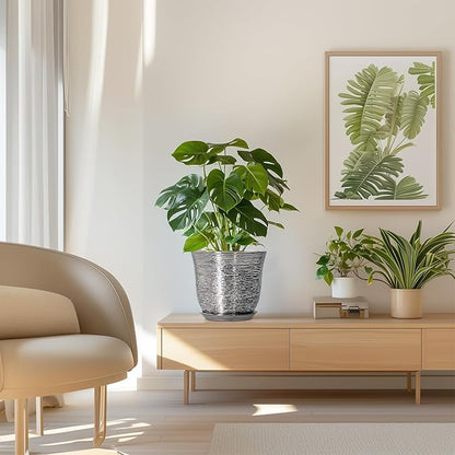 Ceramic Pots for Plants