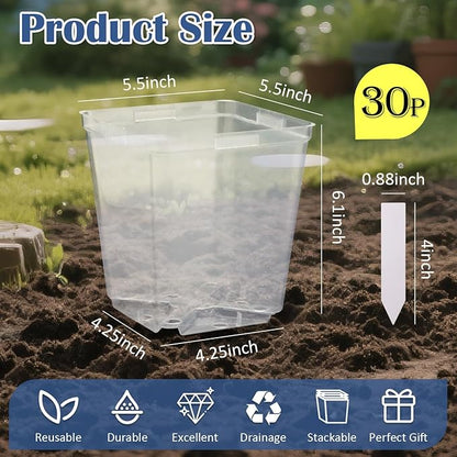 5.5 Inch Clear Square Nursery Pots