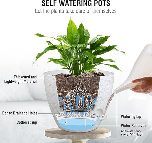 10 inch Self Watering Hanging Planters, 2 Pack Hanging Baskets