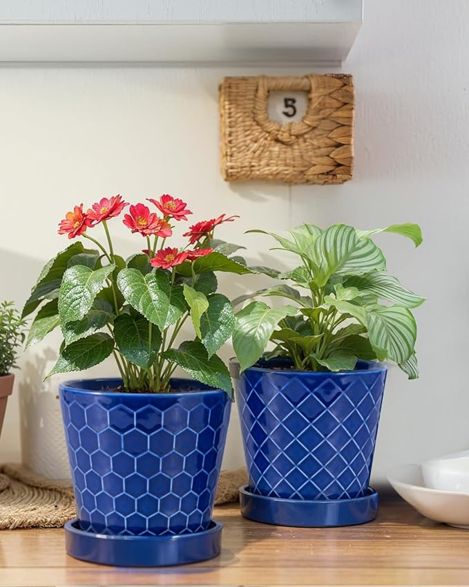 EFISPSS Ceramic Plant Pots, 5Inch Pots