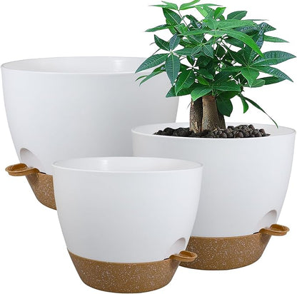 Large Self Watering Pots, 12/10/9 Plastic Planters