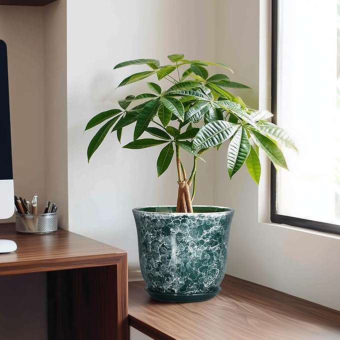 8 Inch Plant Pot