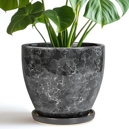 Ceraimc Planter