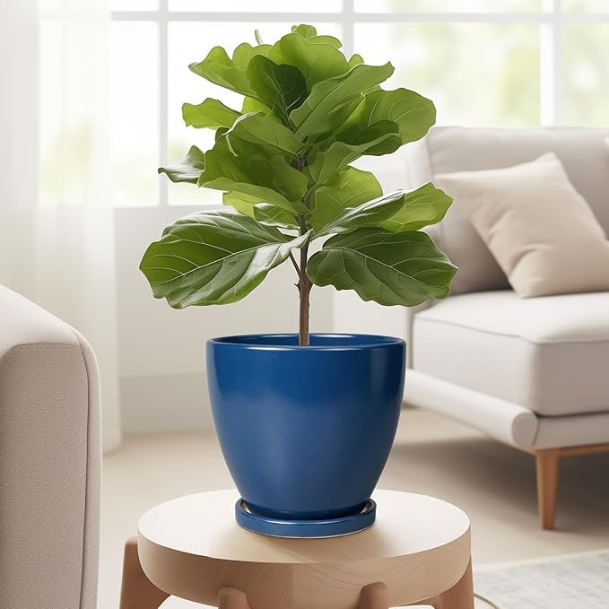 6.8 Inch Plant Pot