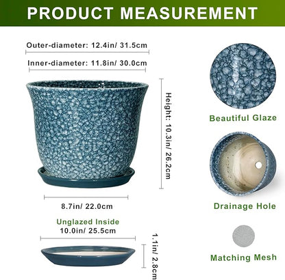 Ceramic Plant Pots
