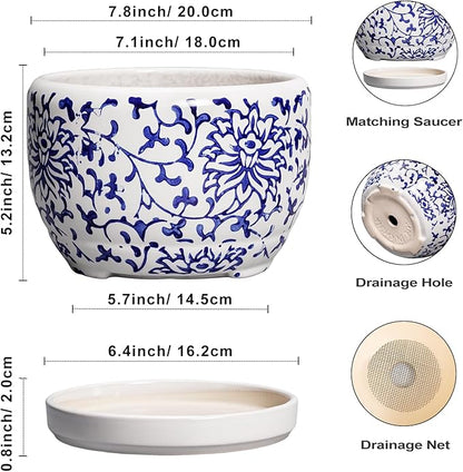 SQOWL Ceramic Pots for Plants
