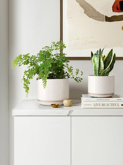 LE TAUCI Ceramic Plant Pots, 4.3+5.3+6.8 inch, Planters
